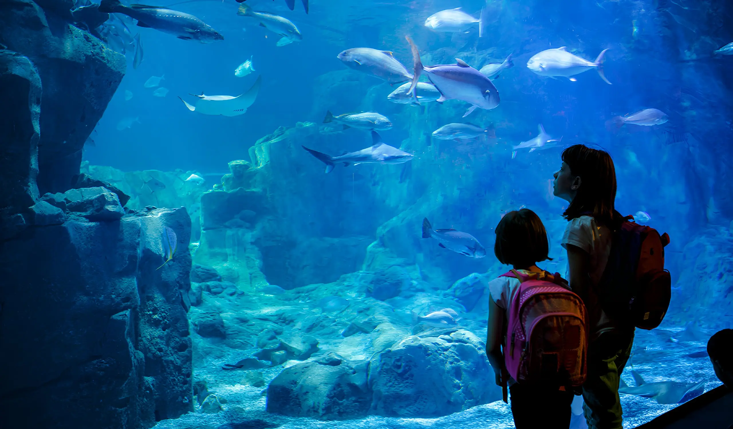 A school group touring Gran Acuario Mazatlán