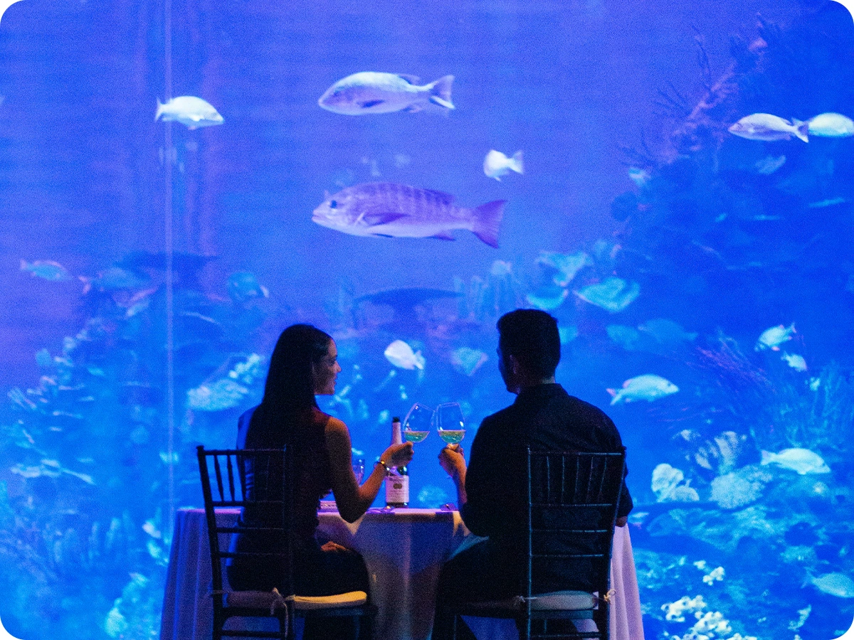 Romantic dinners