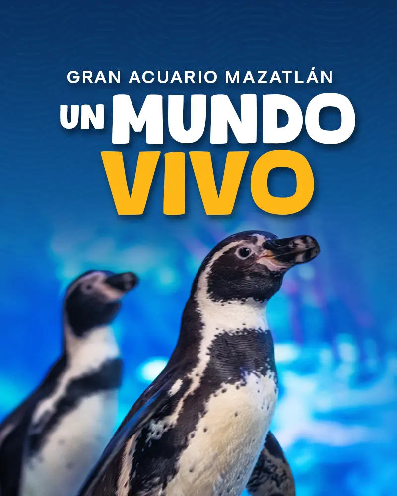 Gran Acuario Mazatlán promotional banner