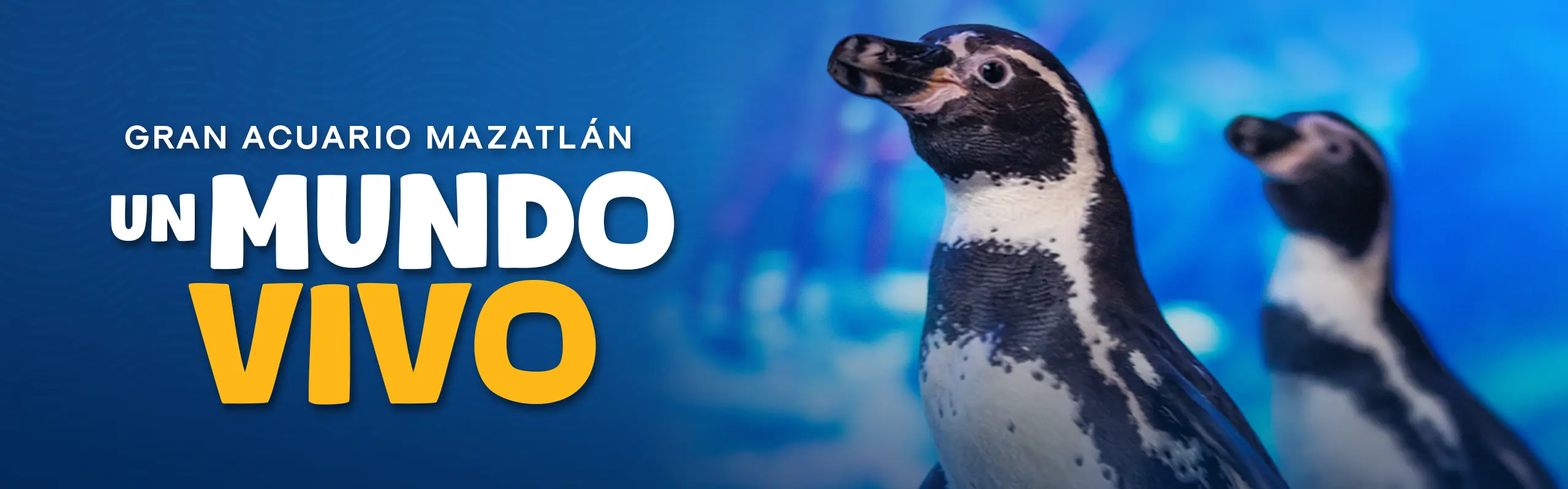 Gran Acuario Mazatlán promotional banner