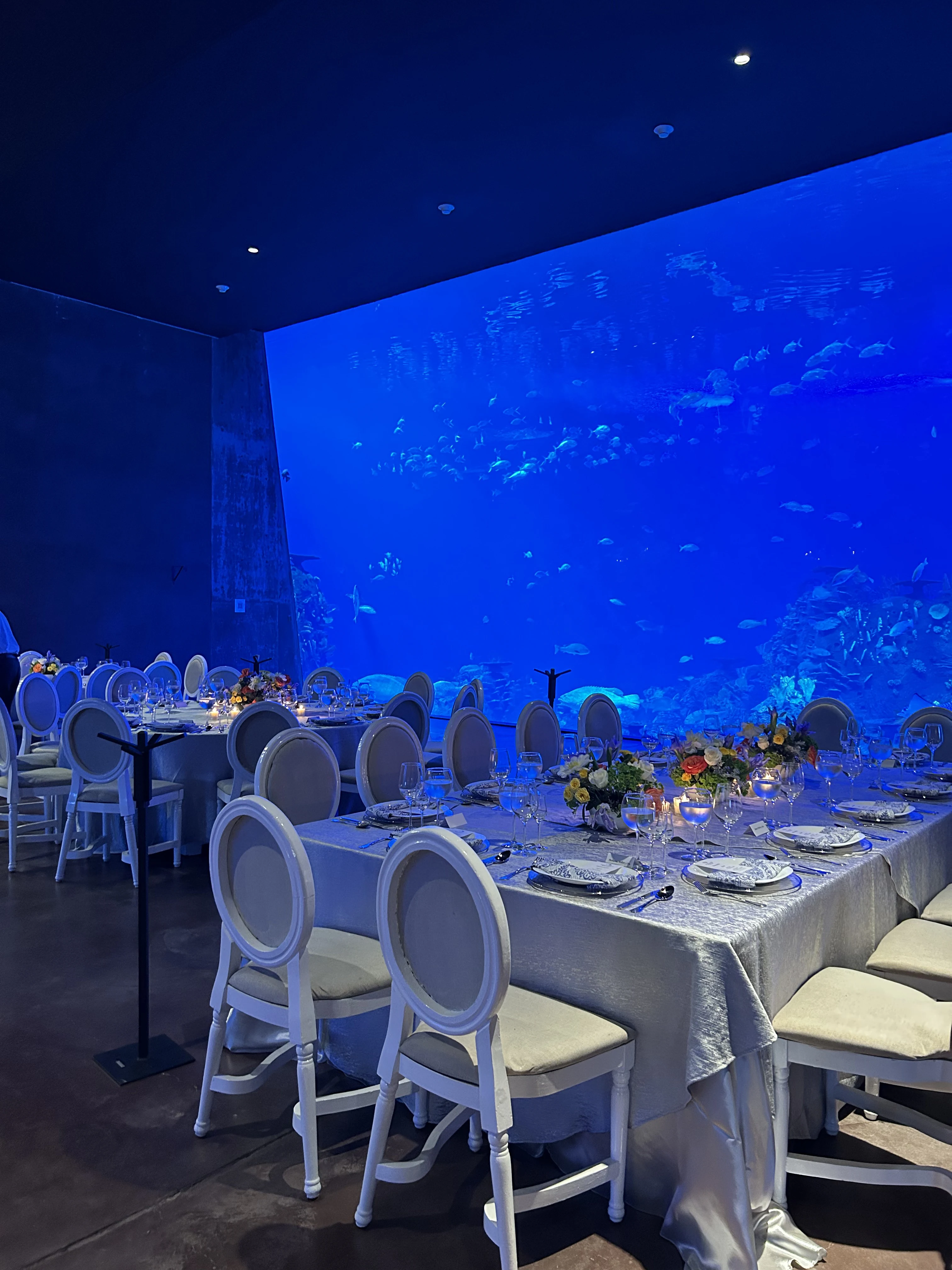 Events at Gran Acuario Mazatlán