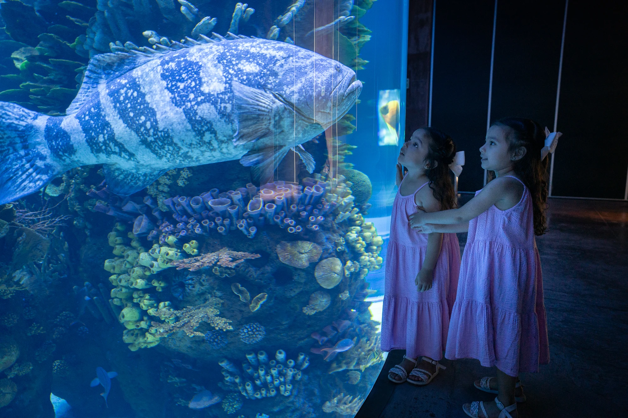 Visitantes frente a un hábitat del Gran Acuario Mazatlán
