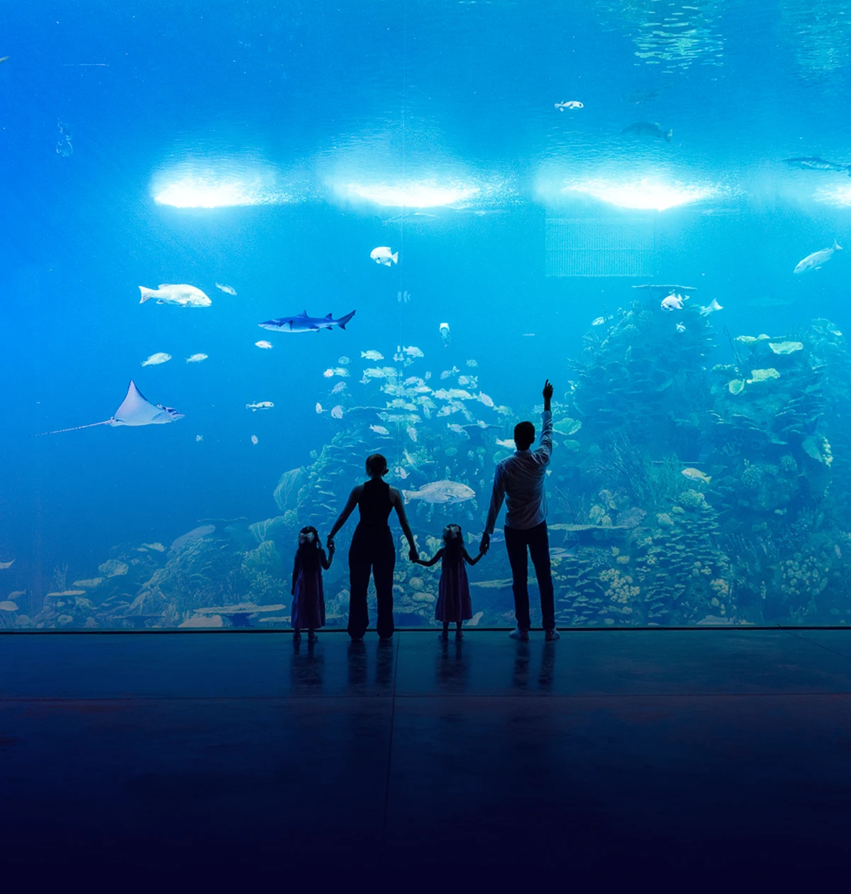 Sea
