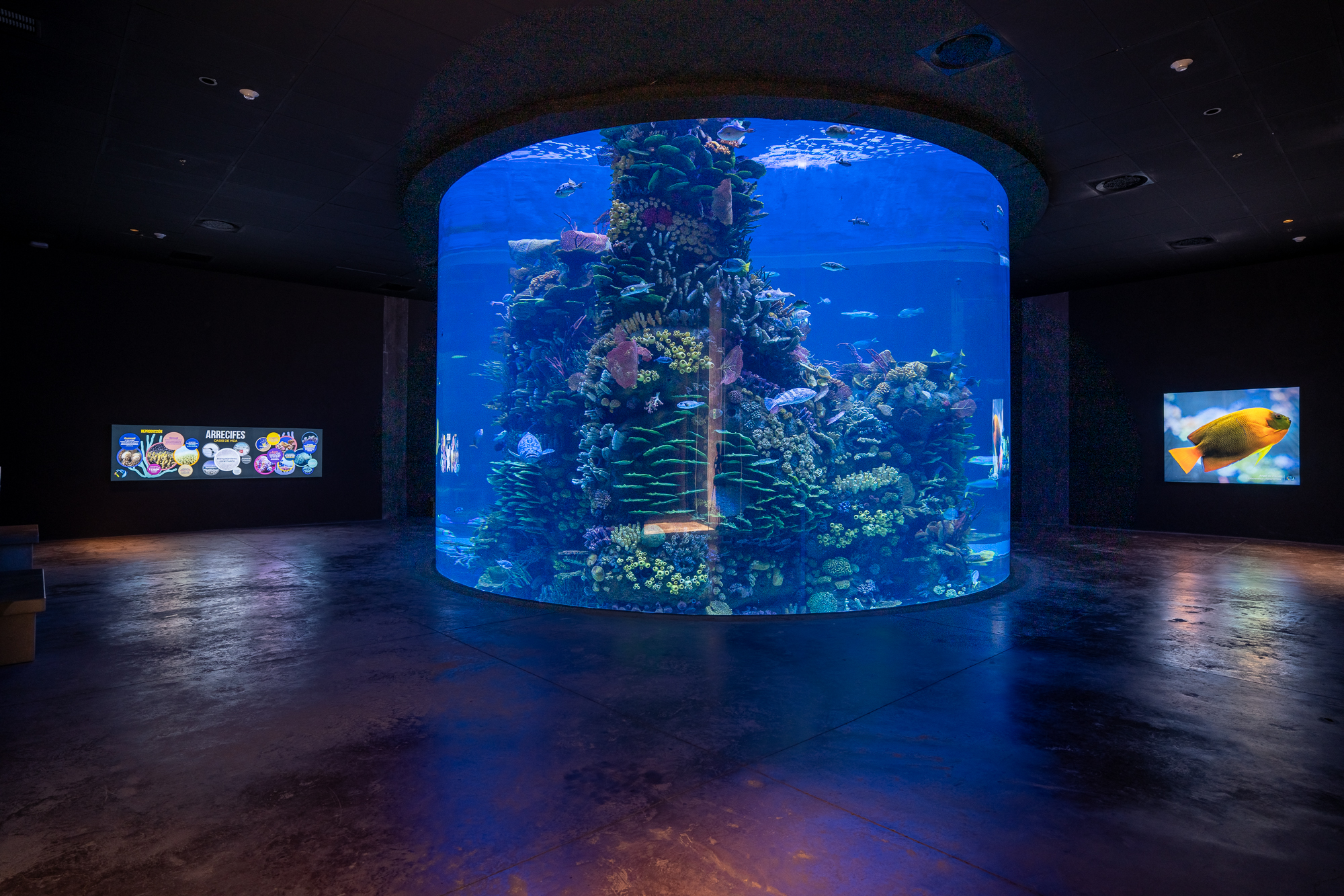 Plan your visit to Gran Acuario Mazatlán